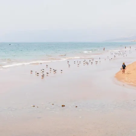 Loca Beach-2